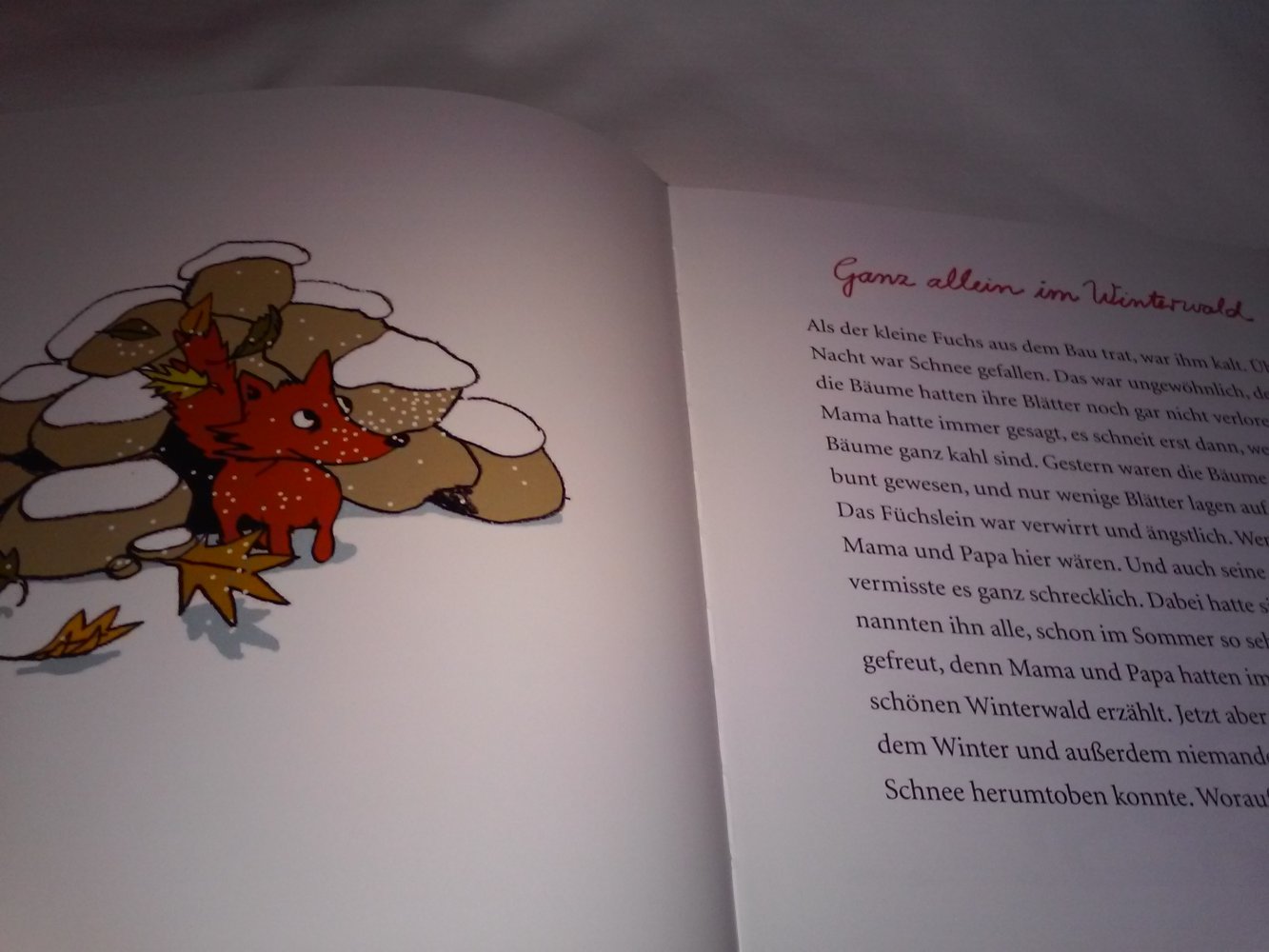 Nosy: spannende Fuchs Geschichte