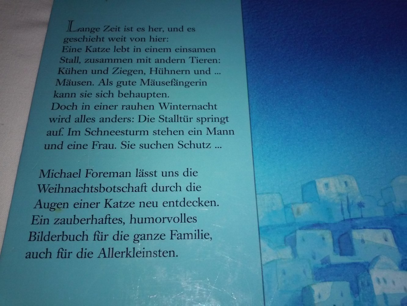 Das Kätzchen in der Weihnachts krippe + Hier sind Katzen im Spiel