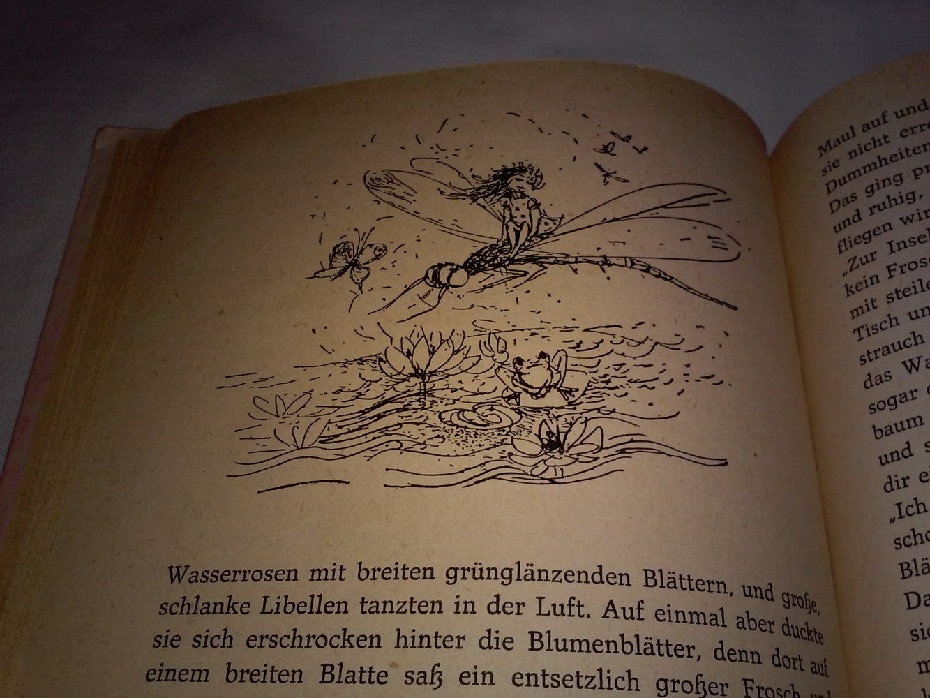 Heinrich Seidel: Prinzessin Zitrinchen -Kinderbuch alt