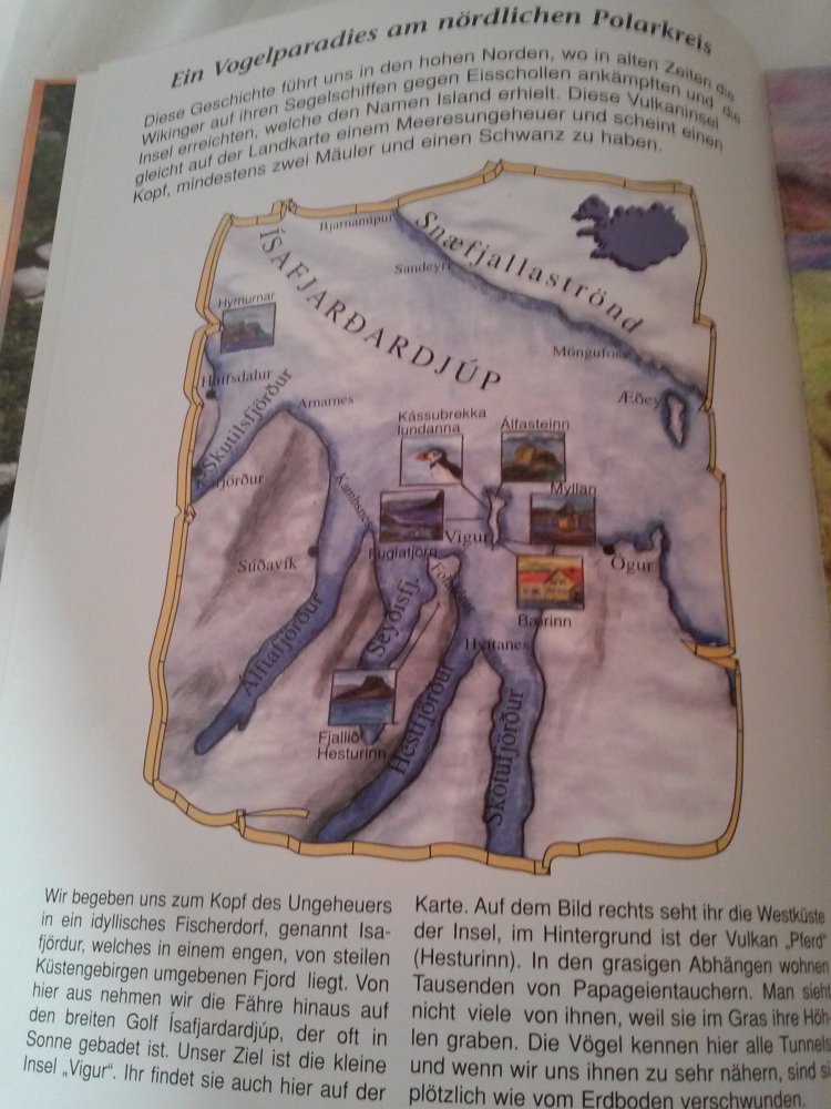 Kristin Marti: Puff, der kleine Papageientaucher