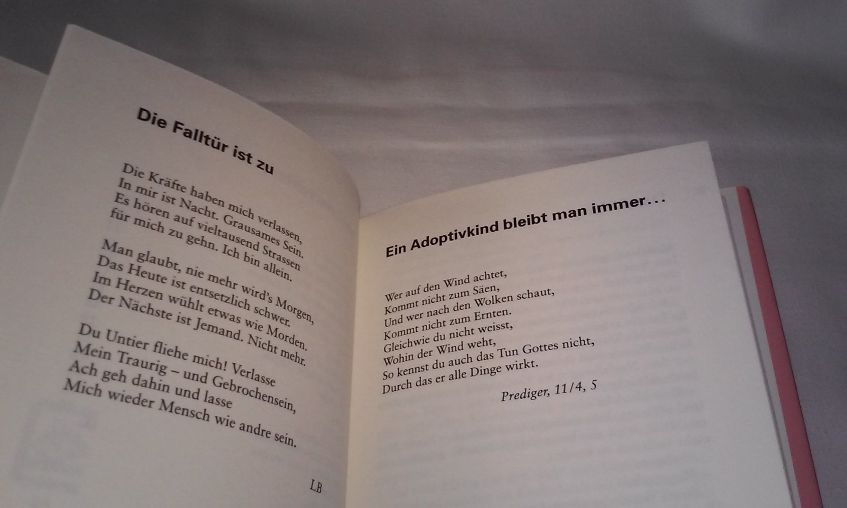 Lasse mich wieder Mensch sein, Erinnerungen eines Adoptivkindes 