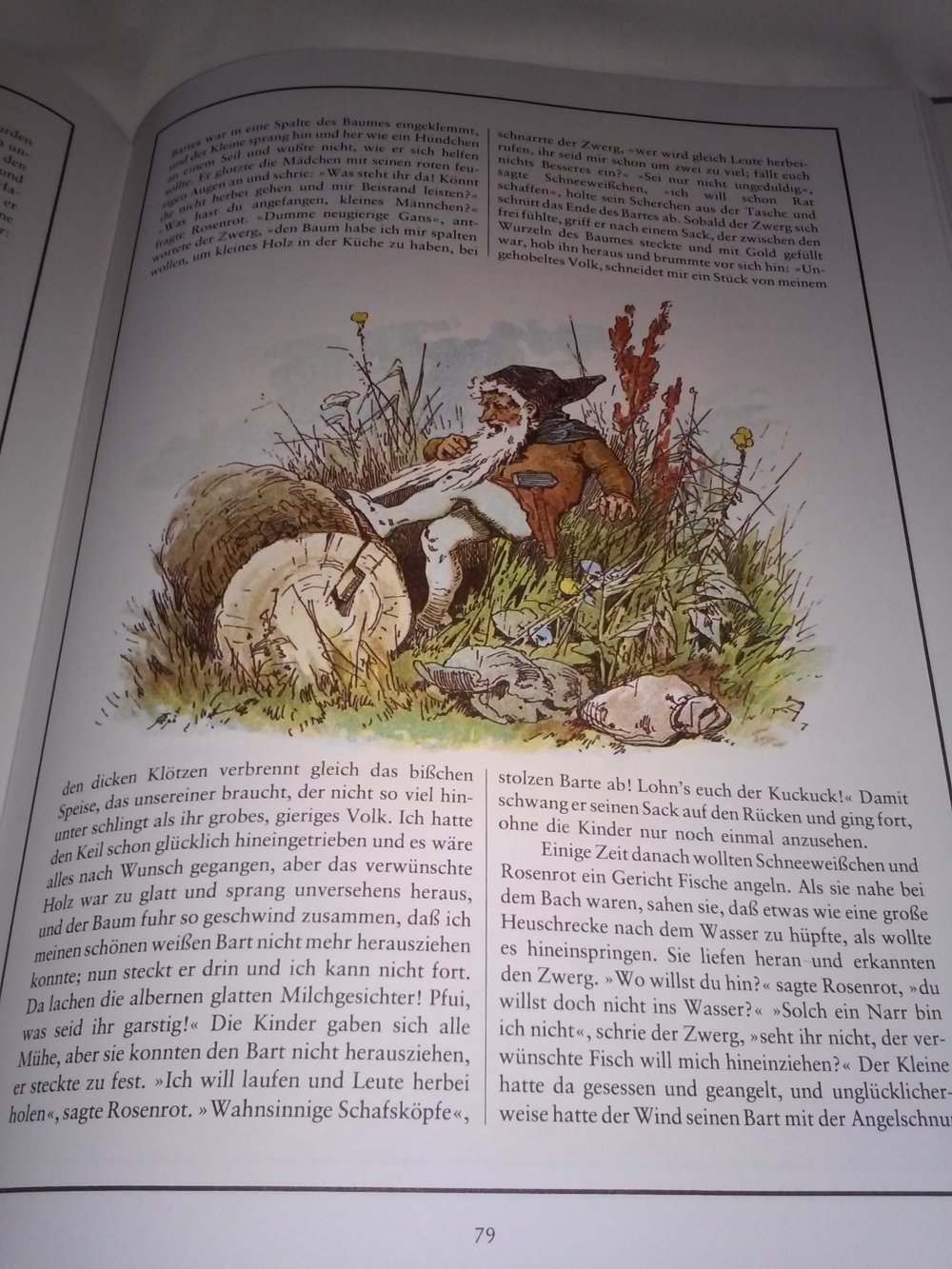 Märchen aus alter Zeit - Familienbuch - Geschenktipp