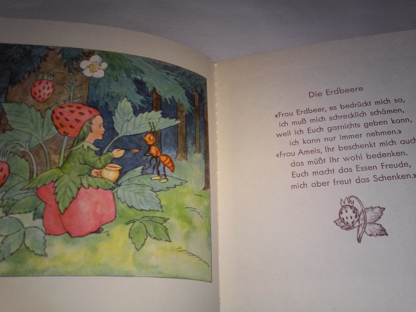 Ida Bohatta -Die braven und die schlimmen Beeren