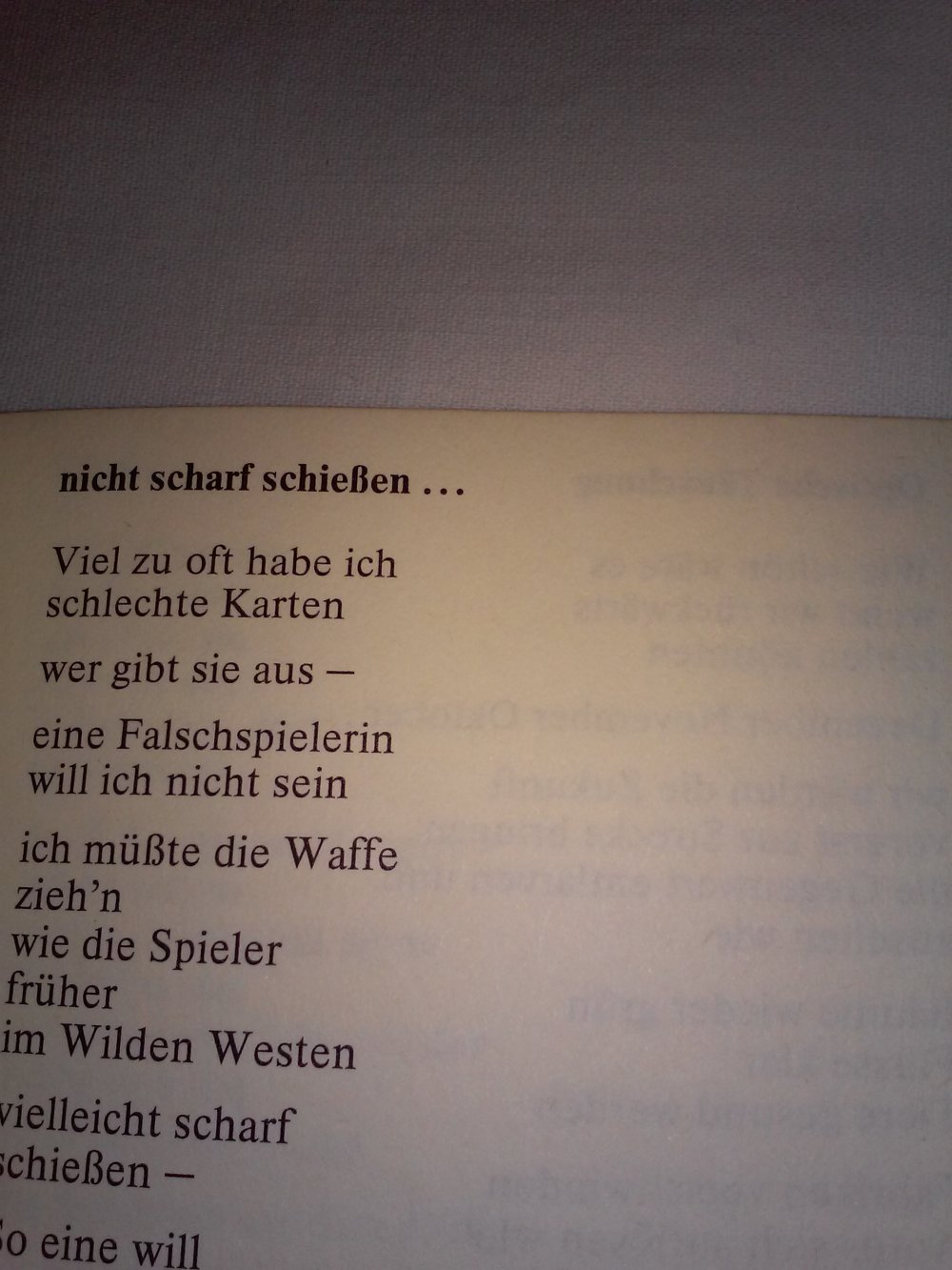 Ellen Fust, Harry Brandtner: Nicht scharf schießen - Gedichte 1.Alg.(signiert!)