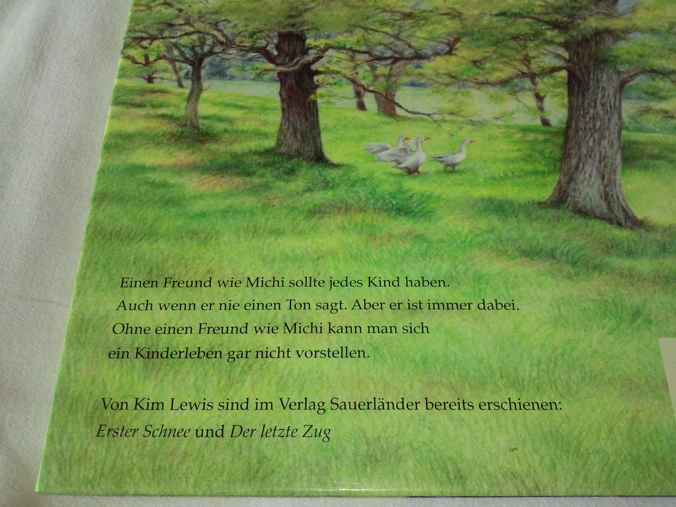 Rolf Lewis: Mein Freund Michi - Kinderbuch alt