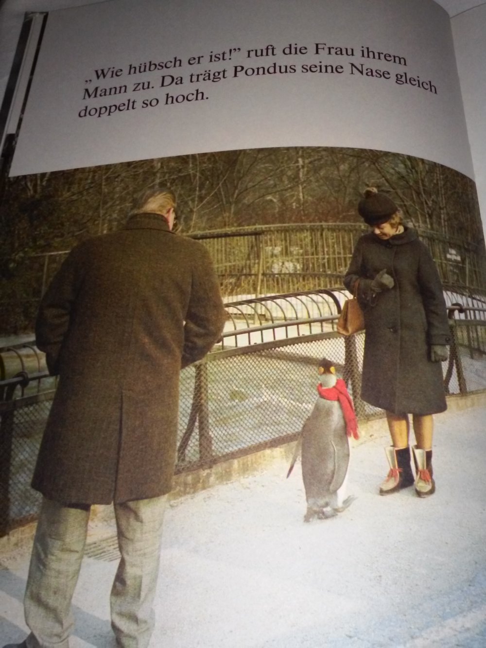 Ivar Myrhøj: Pinguin PONDUS - Kinderbuch alt