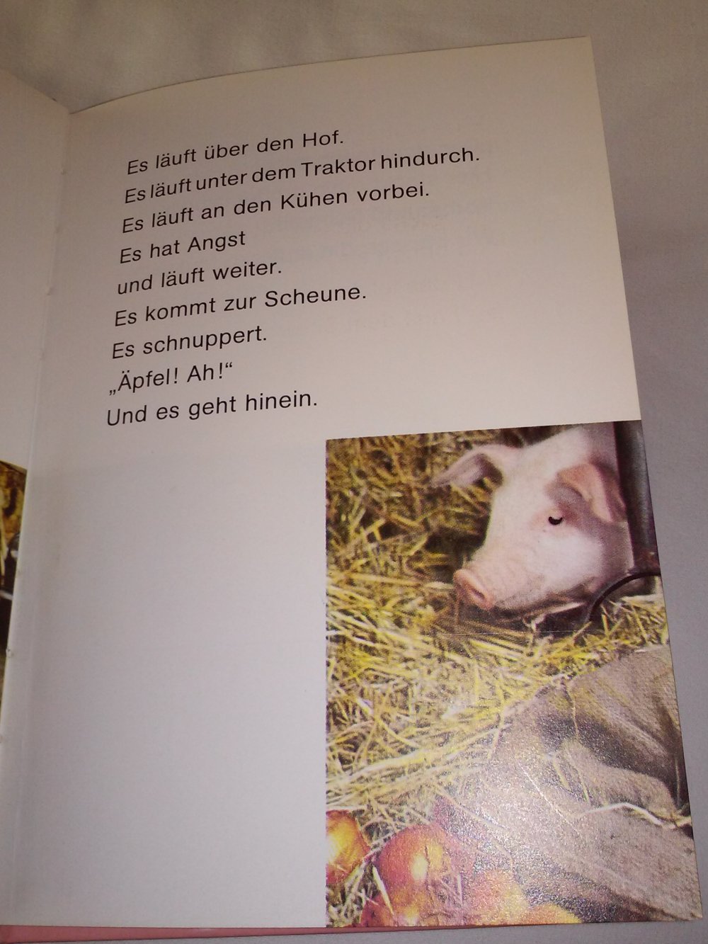 Helen Piers: Fünf kleine Schweinchen - Kinderbuch alt - Rarität