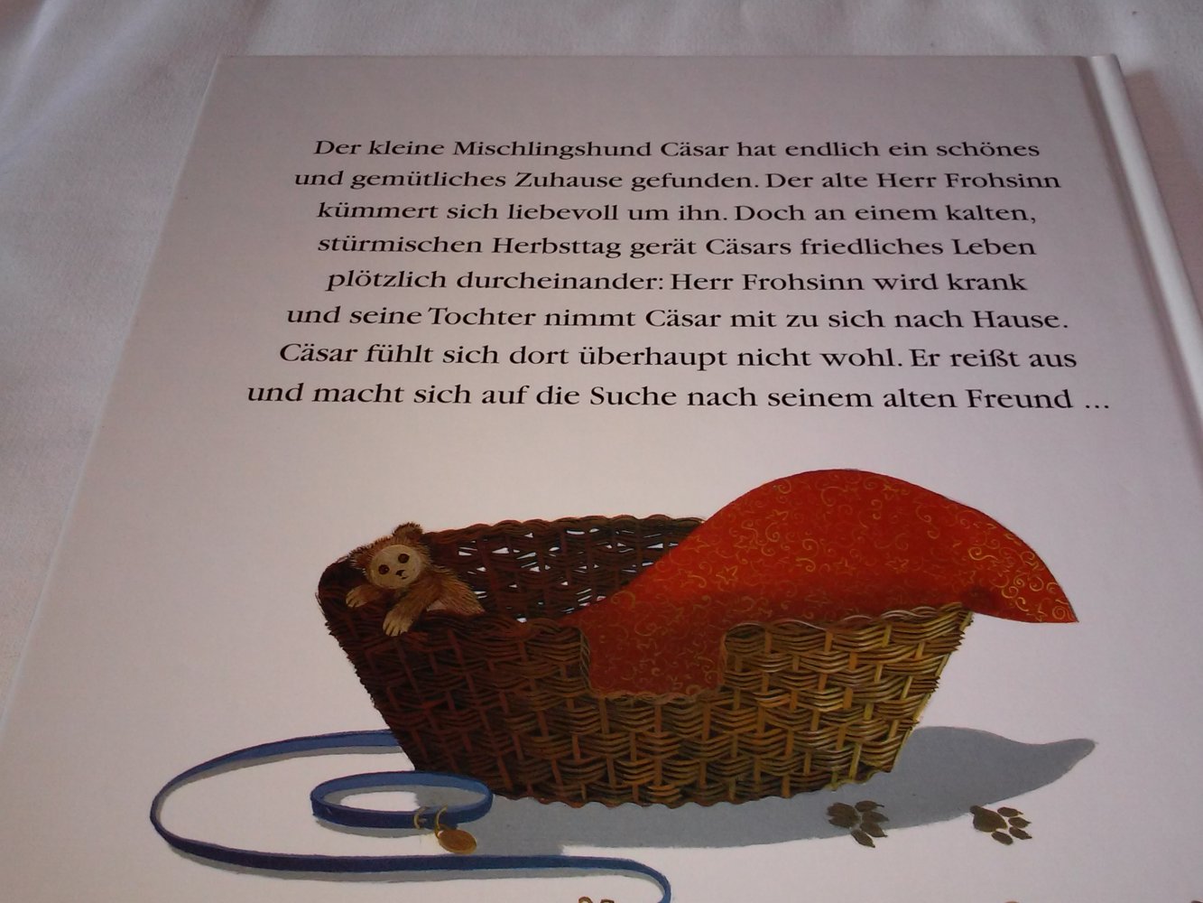 Bibo in Schwierigkeiten. / Komm zurück, Cäsar - Kinderbuch alt