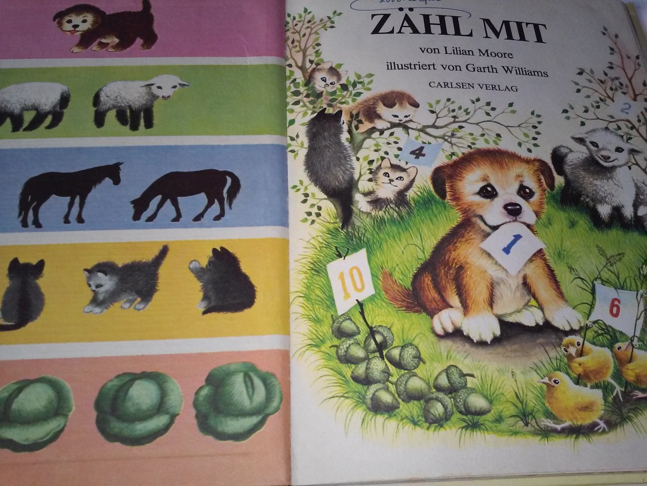 Zähl mit! Ein DAXI-Buch Nr. 43  altes Kinderbuch