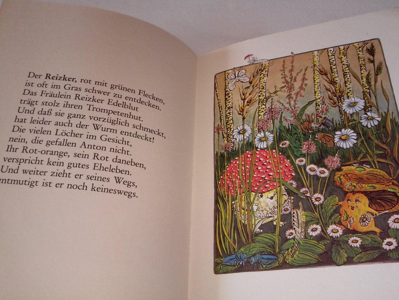  Maika Gräfin Tyszkiewicz: Anton, der Fliegenpilz Kinderbuch alt