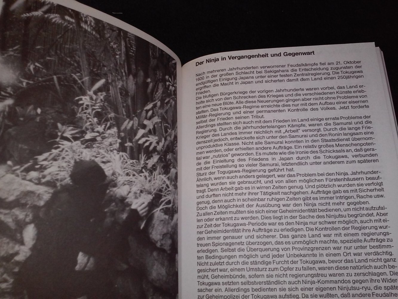 Wolfgang Ettig: Ninja Die Schattenkrieger Teil 3