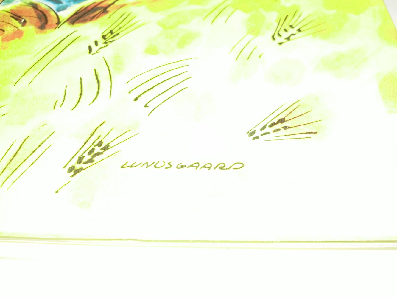 Lustige Streiche der Leute von Mols -altes dänisches Kinderbuch-