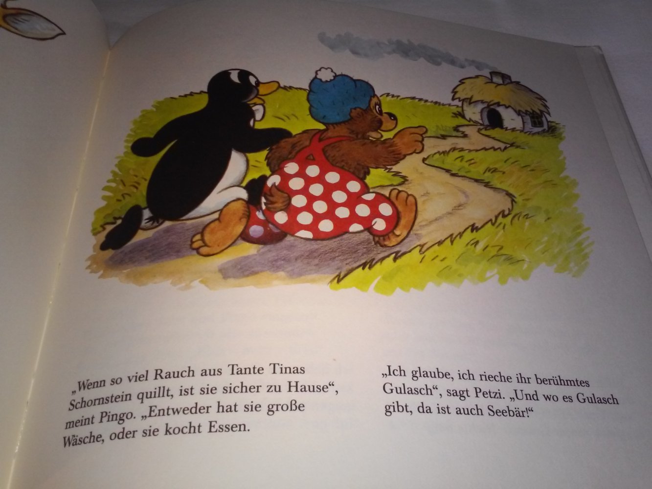 Petzi will angeln altes Kinderbuch