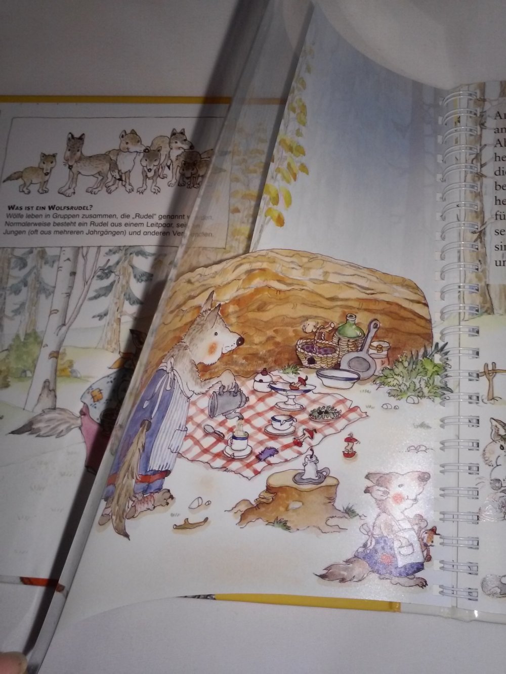 Erik, der Wolf (Kollektion Olms junior) vorlesen selberlesen