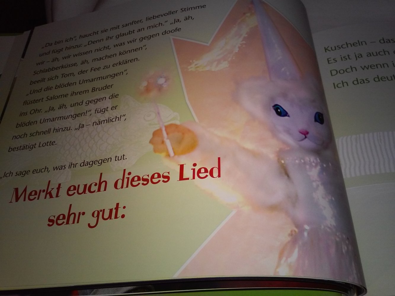 Neu! Irmi Wette: Pfoten Weg!: Macht Kinder stark! (Buch u Hörspiel)