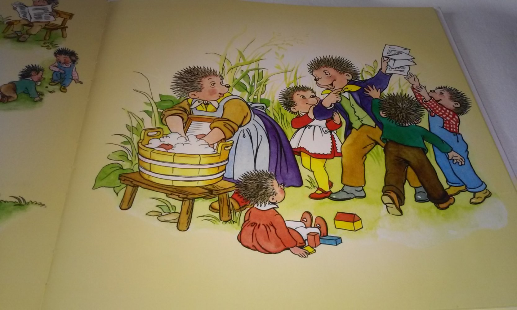 Familie Igel auf Reisen Kinderbuch Anny Hoffmann
