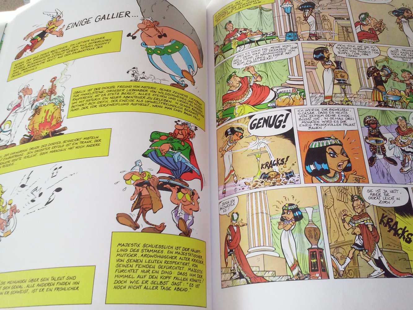 Asterix Werkedition mit Lexikon Band 1 und 2