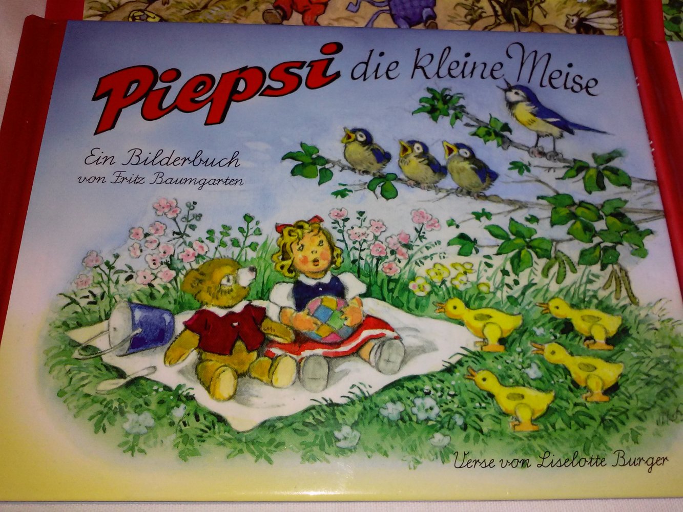 Bilderbuch Geschichten - Fritz Baumgarten - Geschenktipp