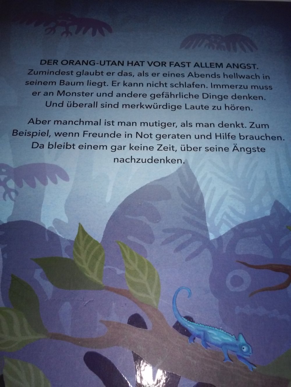 Neu! Sophie Holmqvist: Der Orang-Utan fürchtet sich