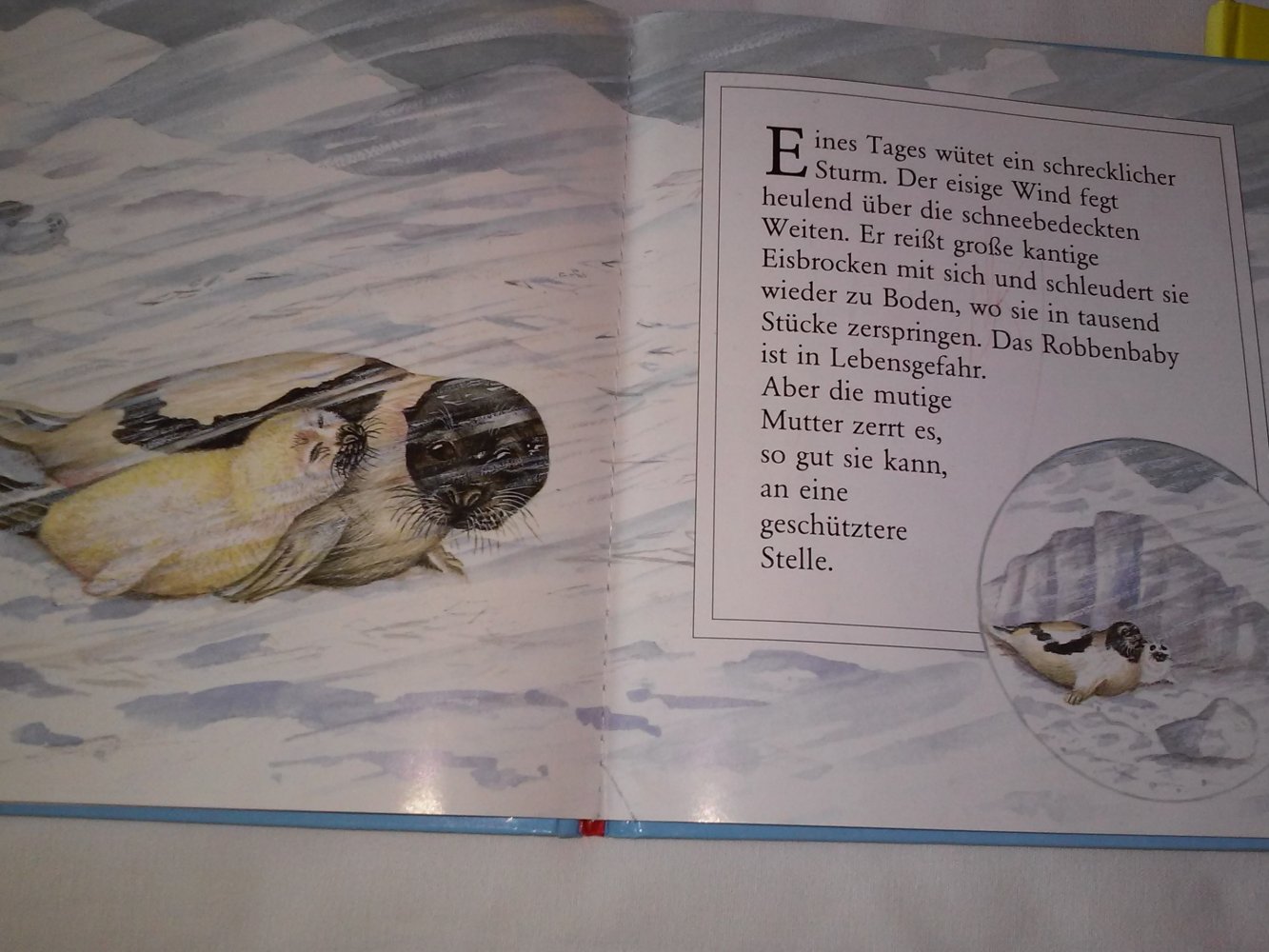  Moira Butterfield: Ein Robbenbaby/Tigerbaby wächst heran -Kinderbuch alt