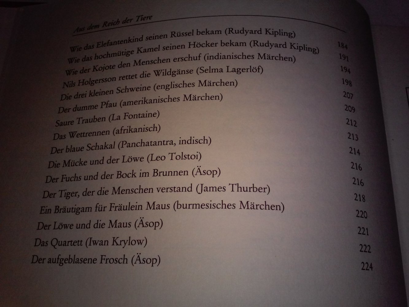 Janusz Grabianski: Mein grosses Märchenbuch - Kinderbuch alt