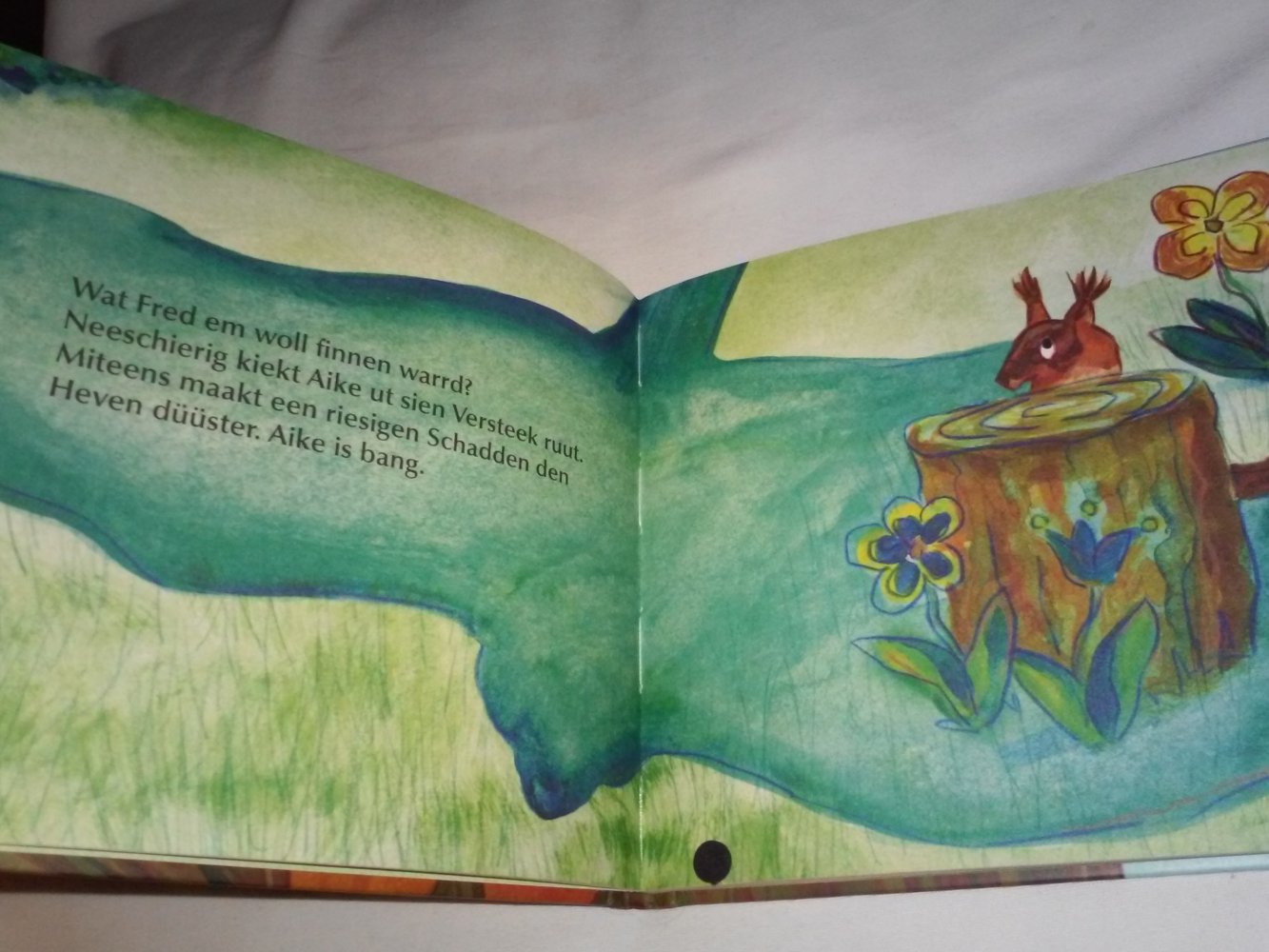 Jo M Turkiewicz: Aike de Katteker /Aike sien Aventüür