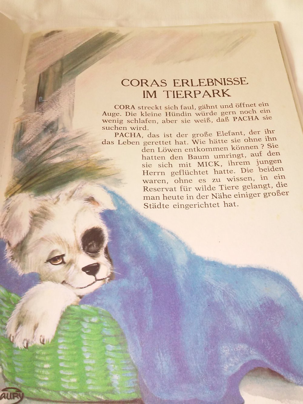 Coras Erlebnis im Tierpark  altes Kinderbuch