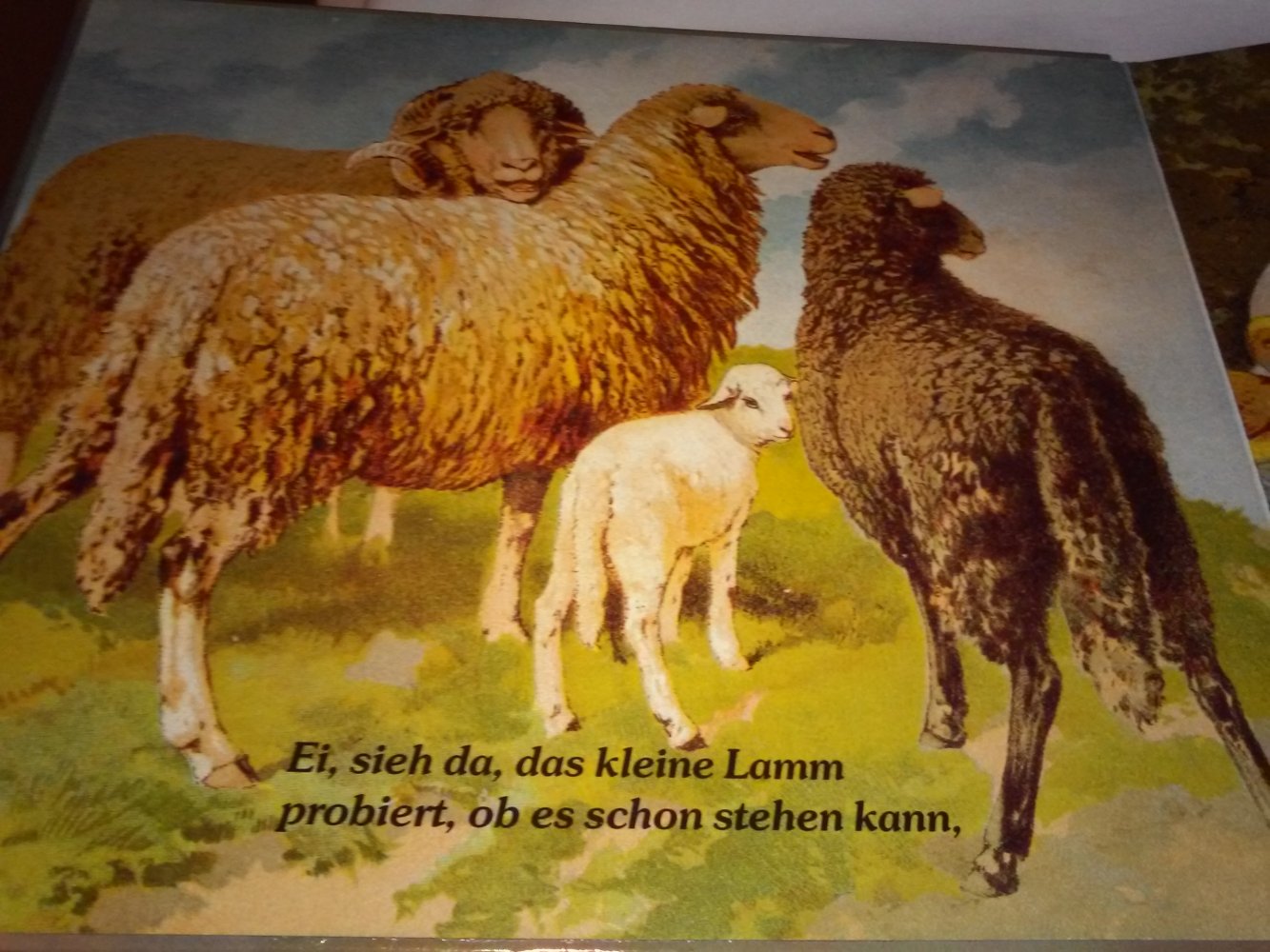 Im Hof und auf der Weide altes Kinderbucch Tierbuch 1988