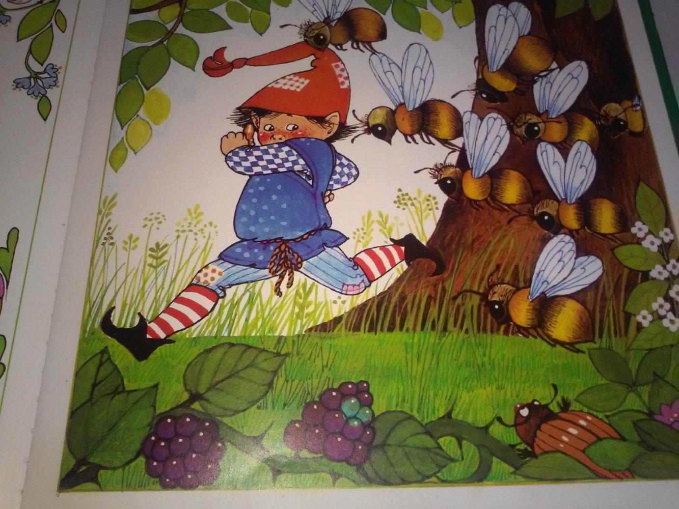 Hildrun Covi: Wichtel Muck und seine Streiche - Kinderbuch alt
