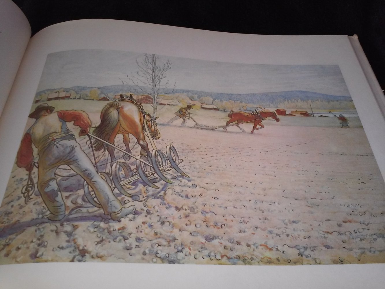 Carl Larsson: Unser Hof : ein Bilderbuch. Klassiker