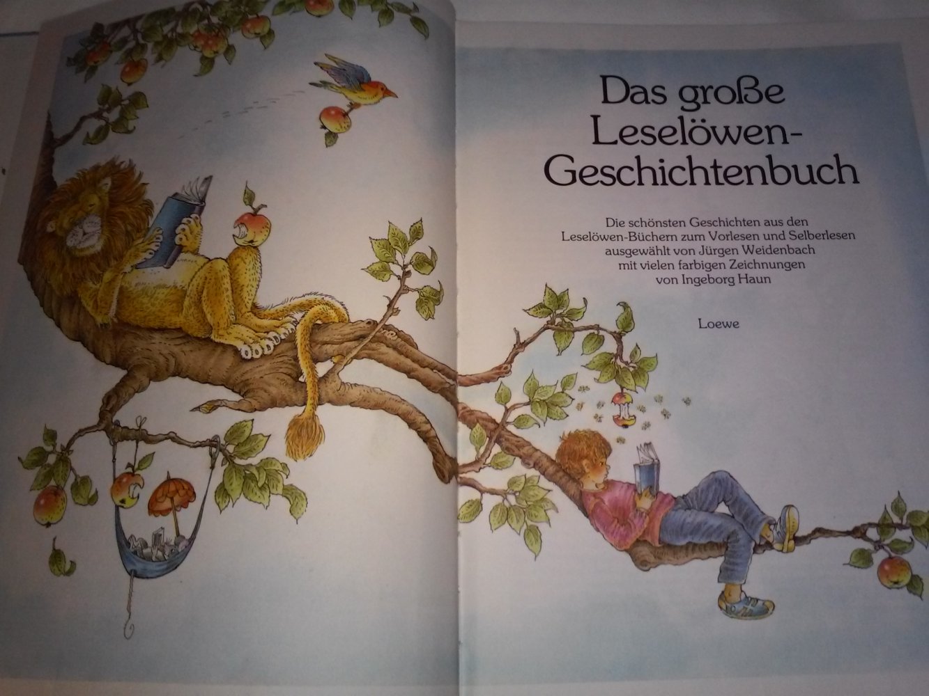 Das große Leselöwen-Geschichtenbuch
