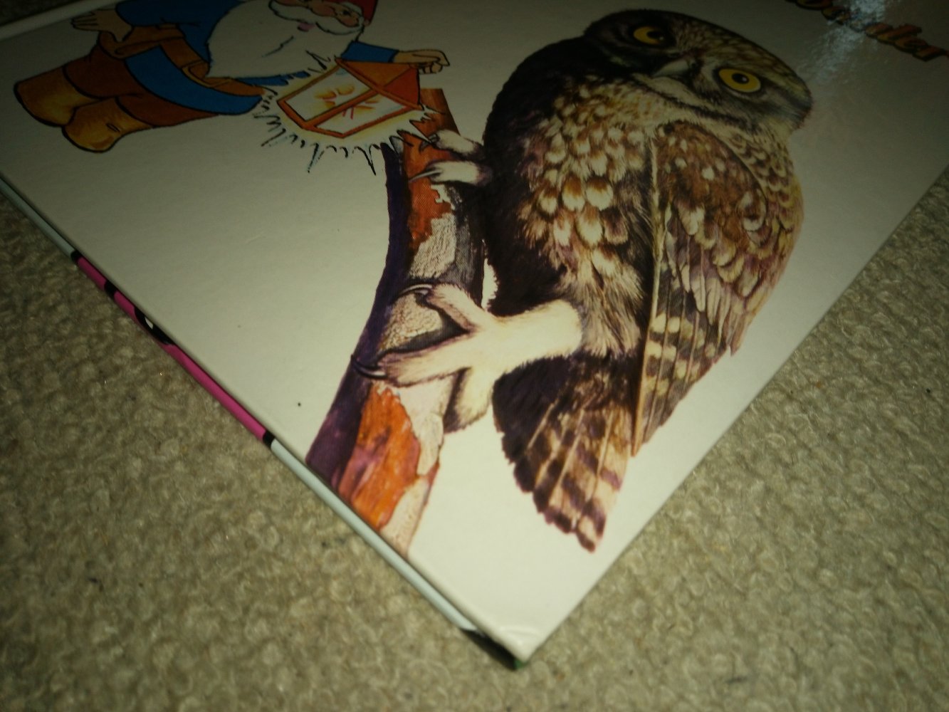 Die Welt von David dem Kabauter 19 - Wo sind die Kabauter ?