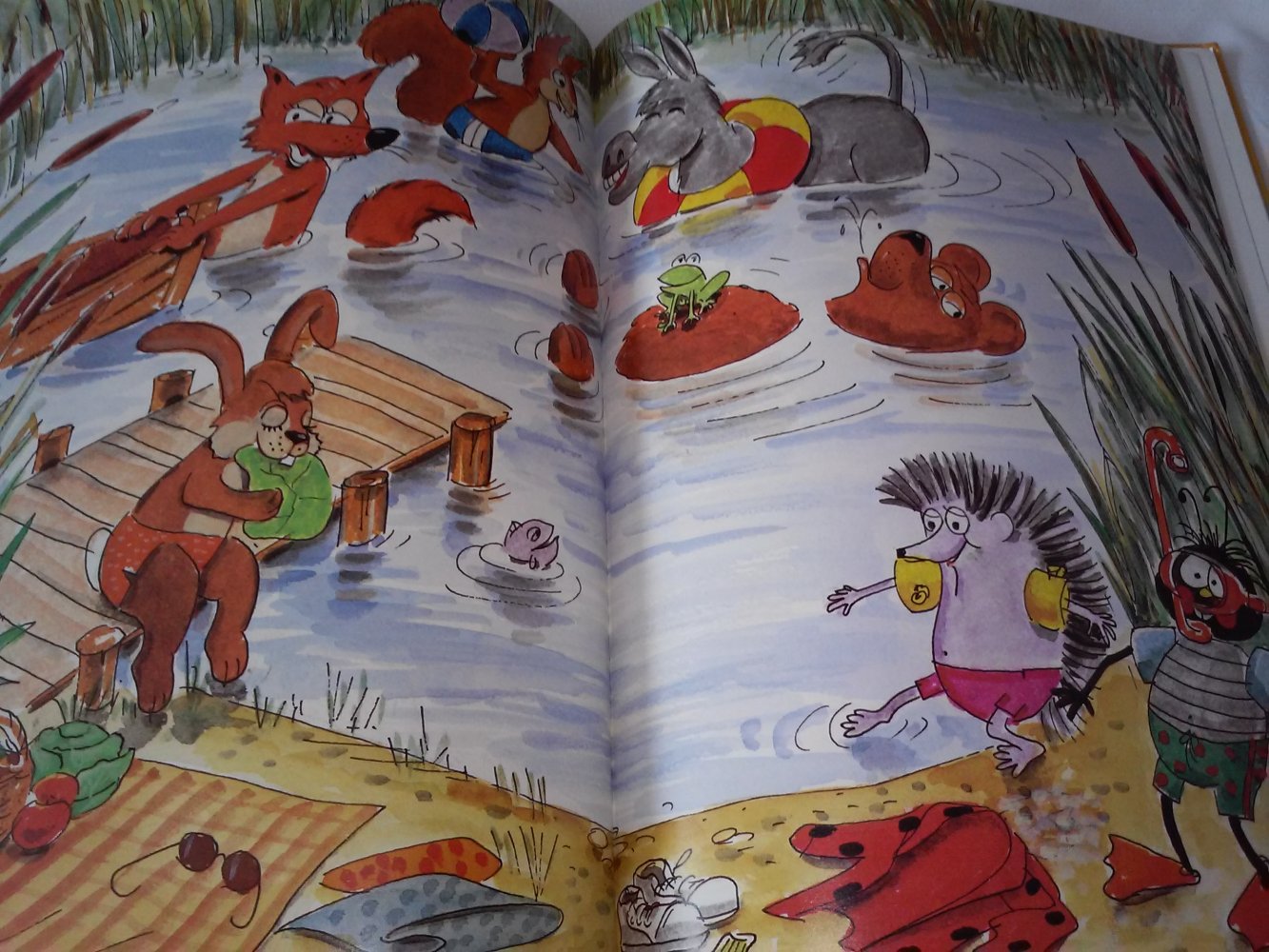 Der kleine Käfer Siebenpunkt