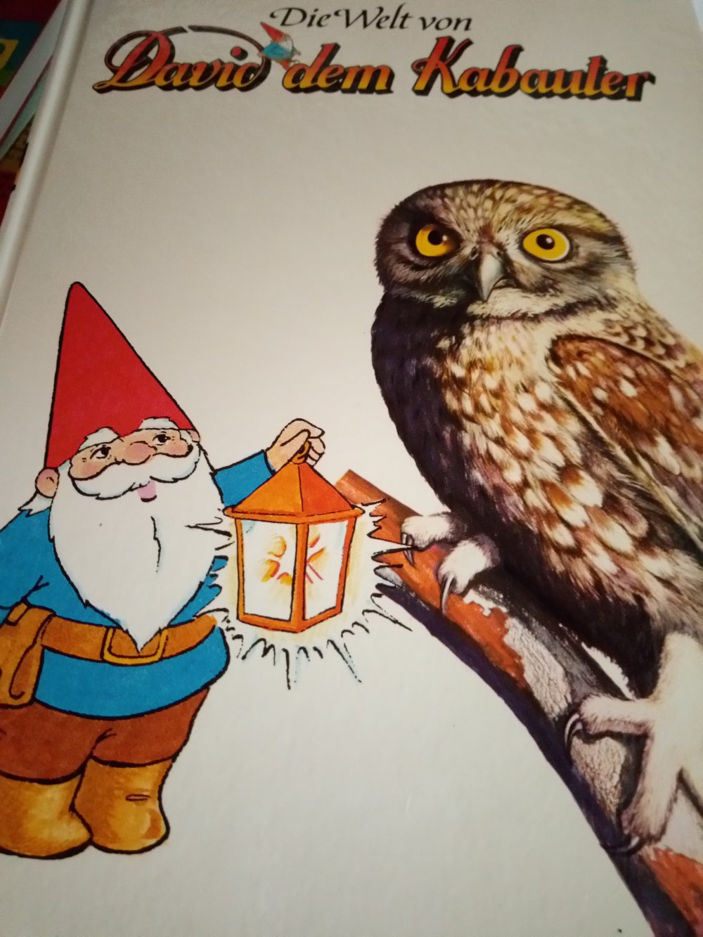 Die Welt von David dem Kabauter 19 - Wo sind die Kabauter ?