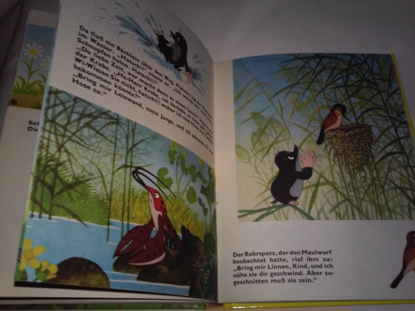 Zdenek Miler: Dausien HanauWie der Maulwurf zu Hosen kam - Klassiker,Kinderbuch alt