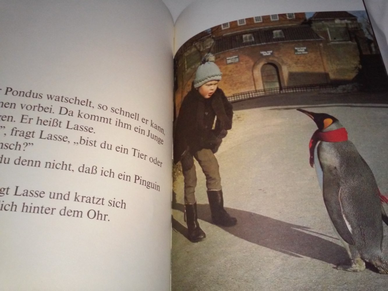 Ivar Myrhøj: Pinguin PONDUS - Kinderbuch alt