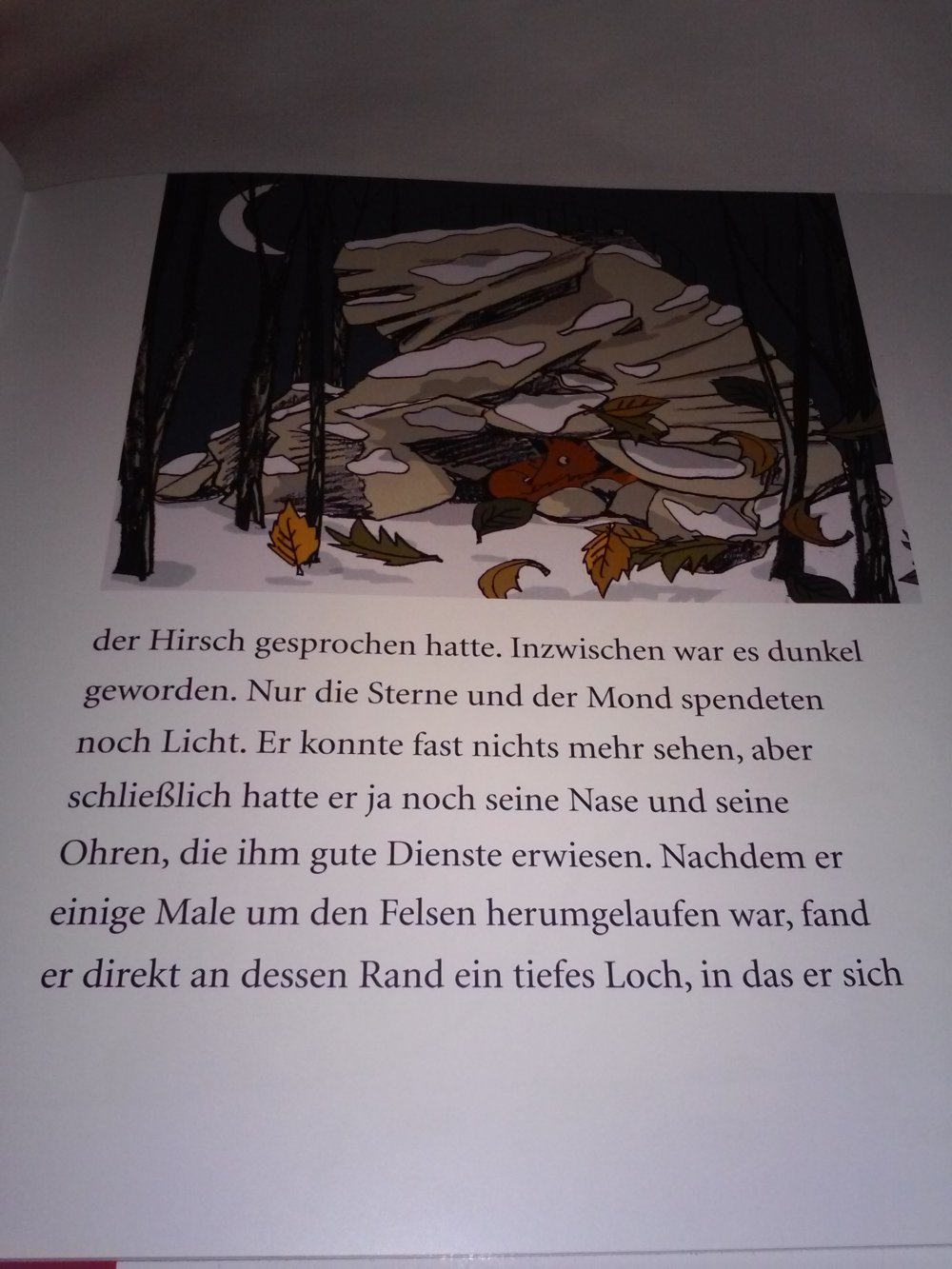 Nosy: spannende Fuchs Geschichte