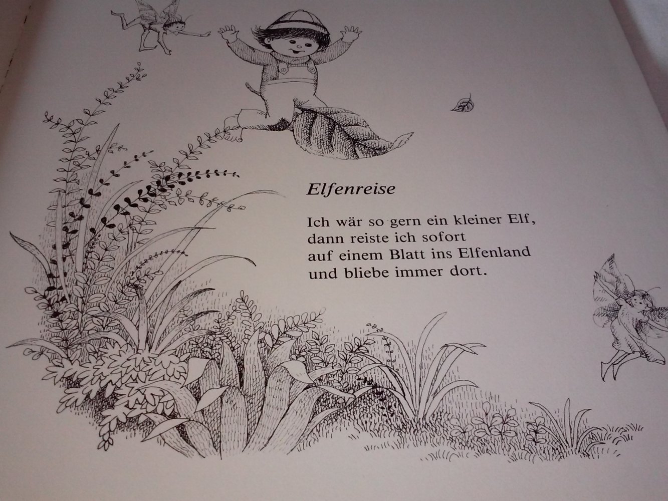 Komm mit ins Elfenland!