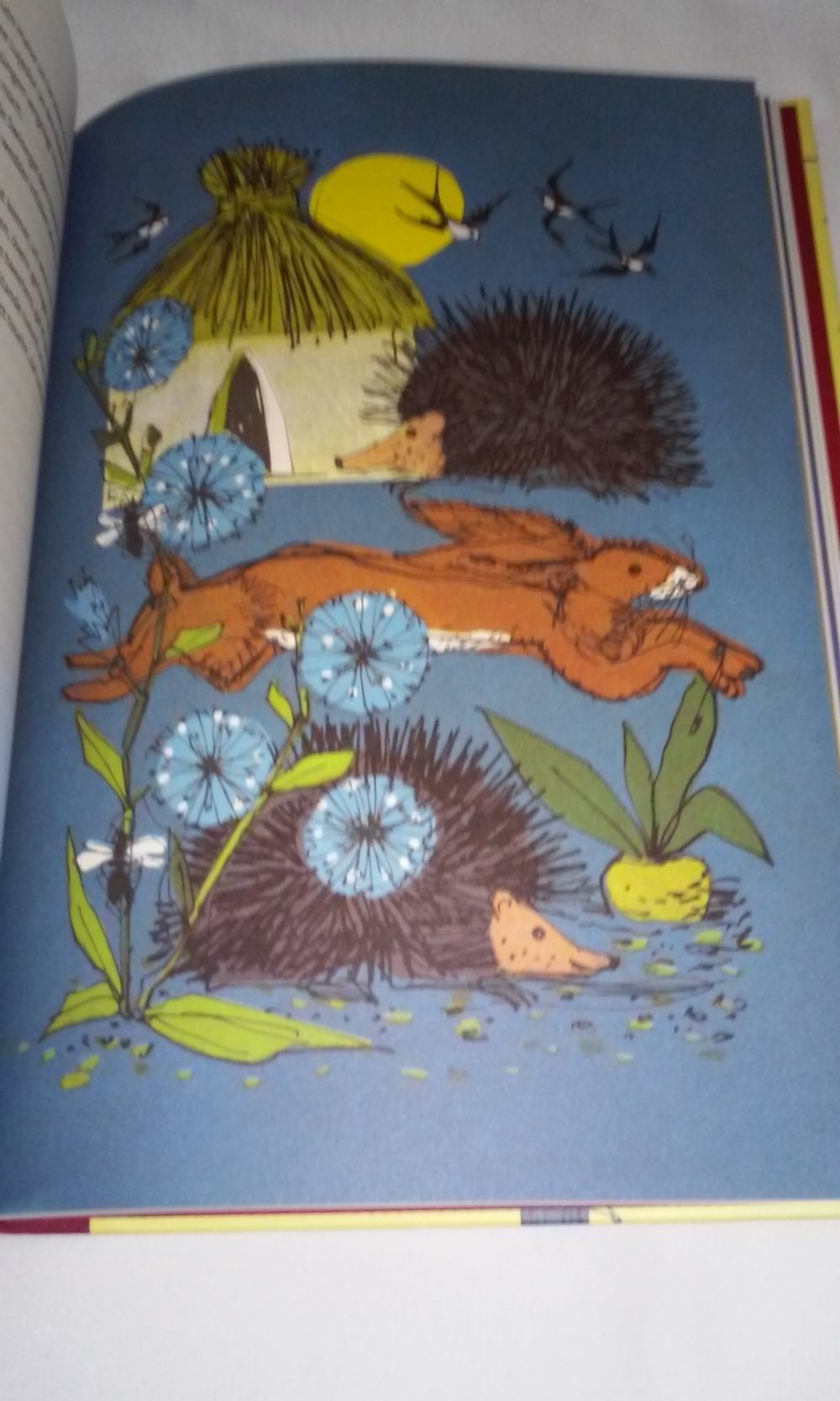 Grimms Märchen 1 - Illustriert von Gerhard Oberländer Märchen- Klassiker Geschenktipp