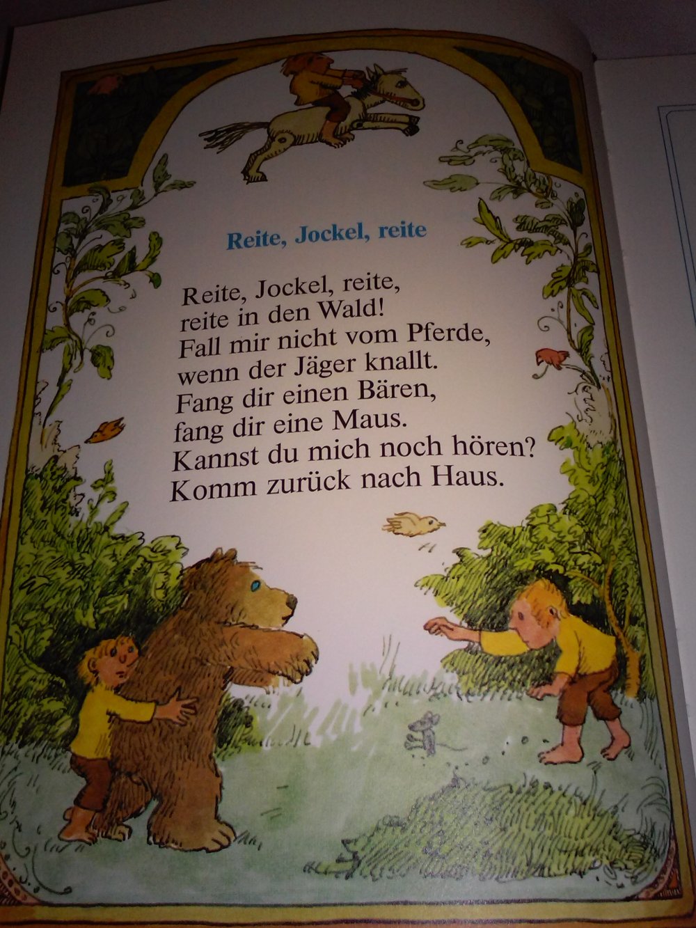 Das grosse Janosch-Buch: Geschichten und Bilder