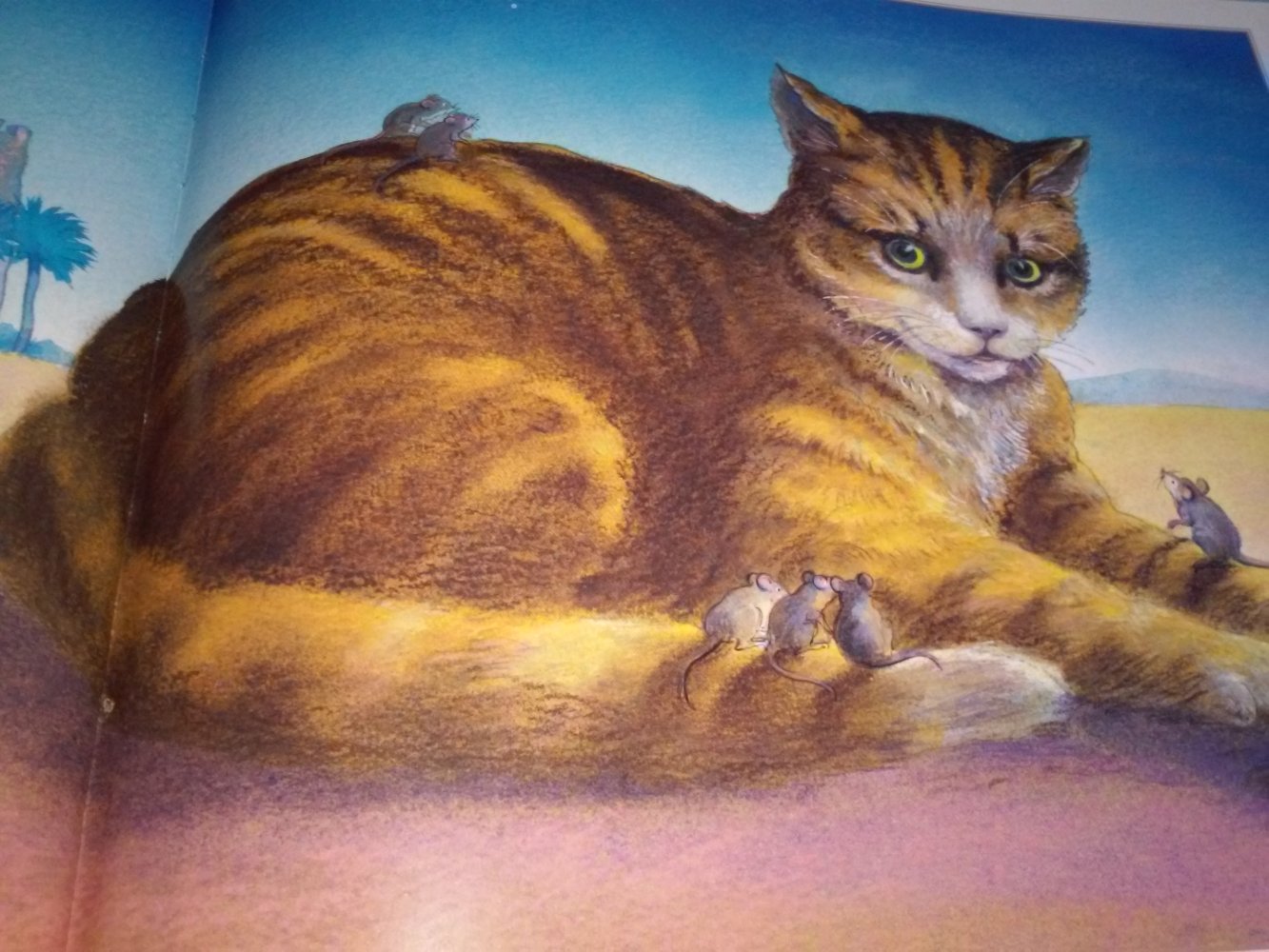 Das Kätzchen in der Weihnachts krippe + Hier sind Katzen im Spiel