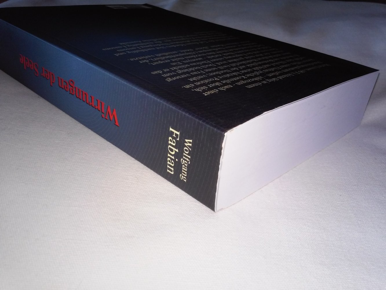 Neu!  Wirrungen der Seele  ...Licht am Ende des Weges -Geschenktipp-