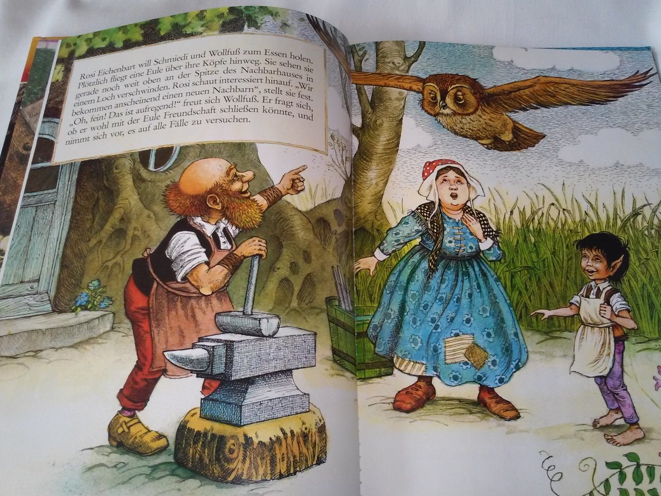 Jane Patience: Regenbogenland - Wollfuß und die Eule - Kinderbuch alt