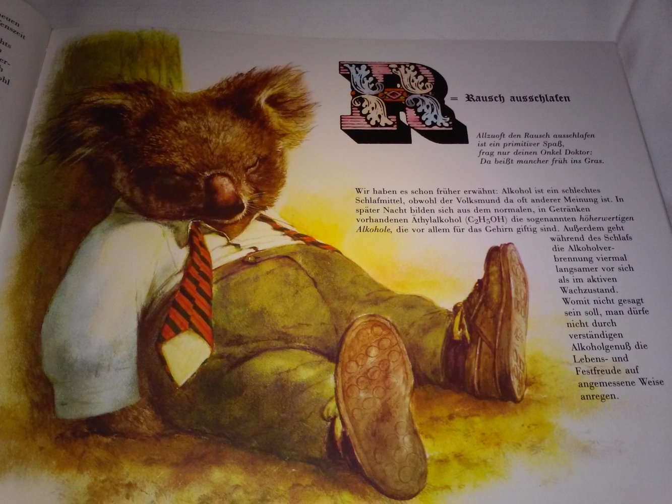 Wil Huygen: Das Buch vom Sandmann und das ABC vom Schlaf