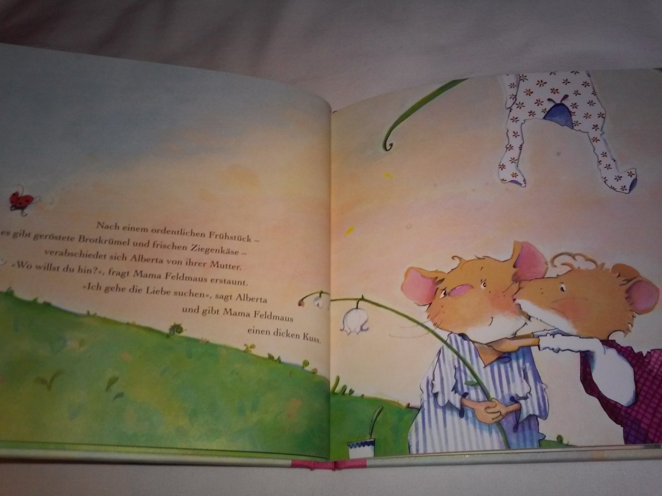 Isabel Abedi: Alberta geht die Liebe suchen Geschenktipp