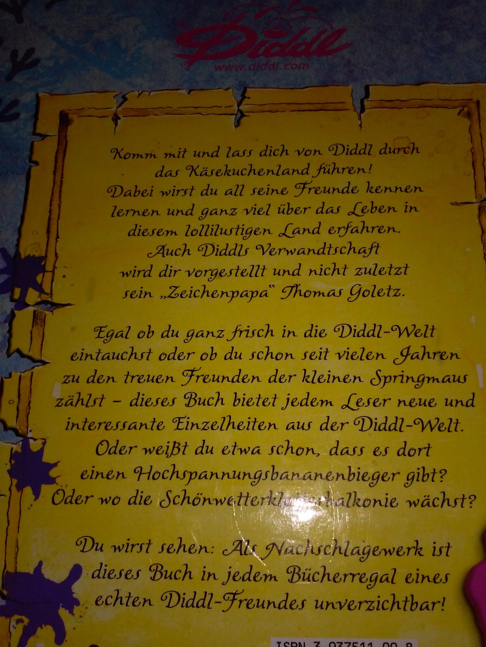 Das grosse Buch vom Diddl und seinen Freunden / Endlos-Märchen
