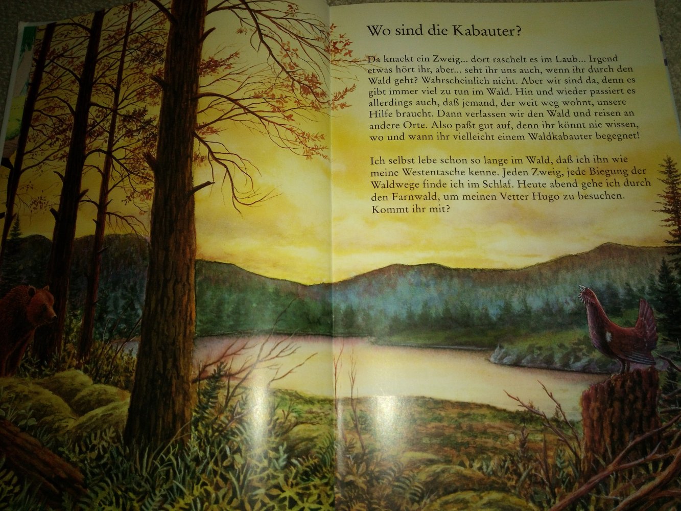 Die Welt von David dem Kabauter 19 - Wo sind die Kabauter ?
