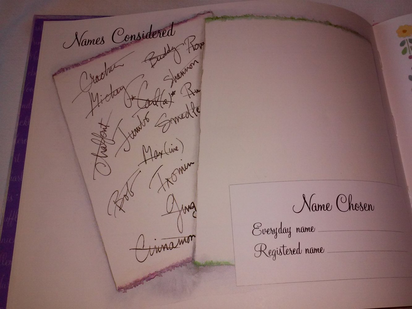 My Puppy's Record Book/Book and Good Dog Award (altes Kinderbuch wie neu)