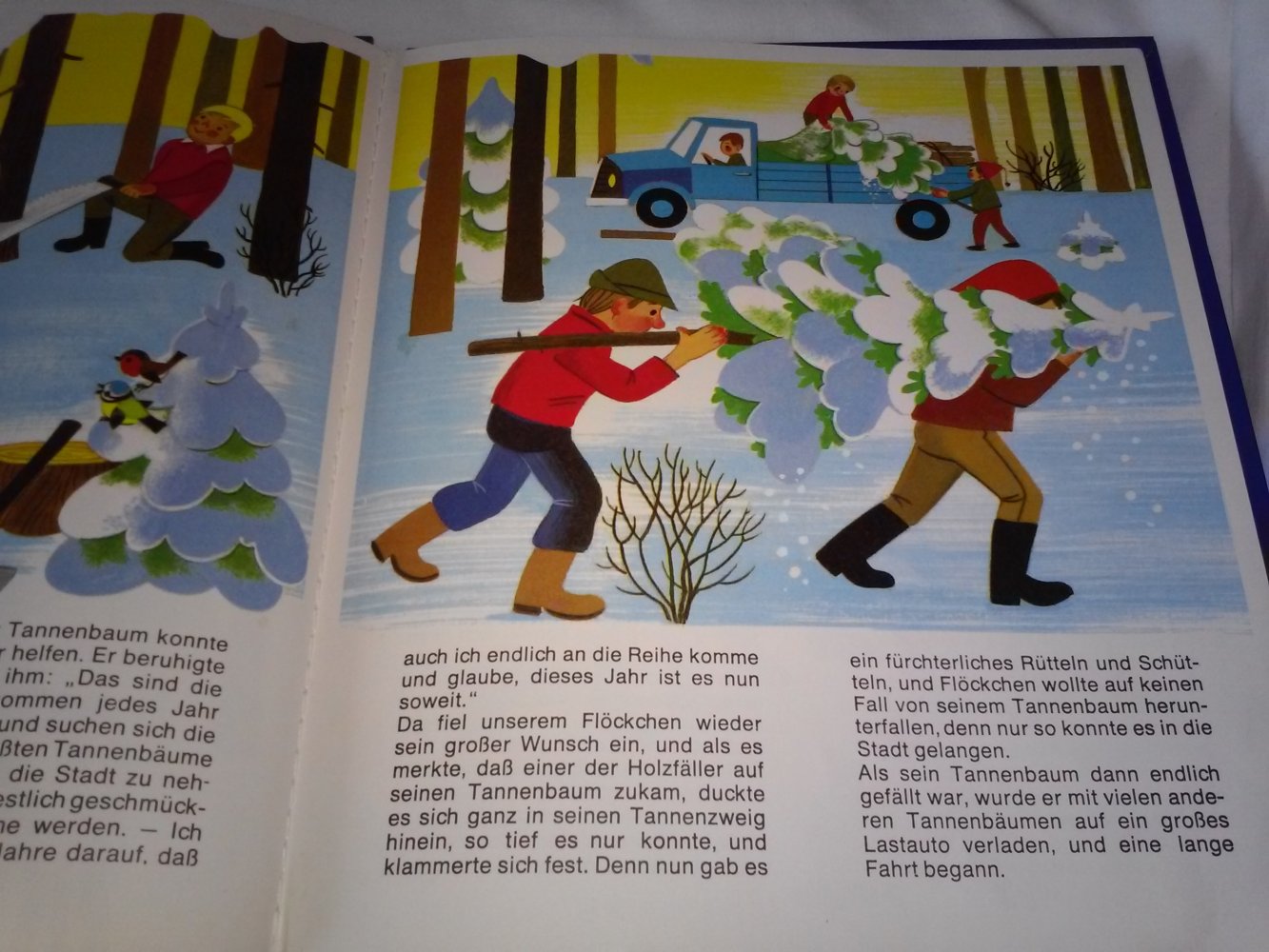Ursula Schütz: Schneeflöckchens große Reise - eine Weihnachtsgeschichte 
