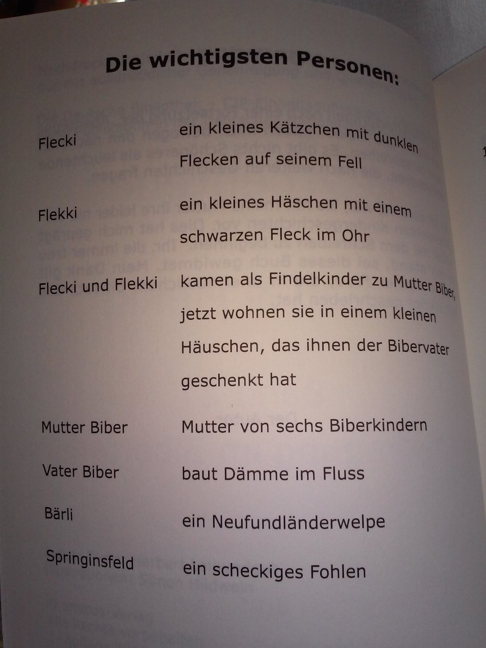 Neu! Die Abenteuer von Flecki & Flekki: Band 2 - Aufregung im Bibertal